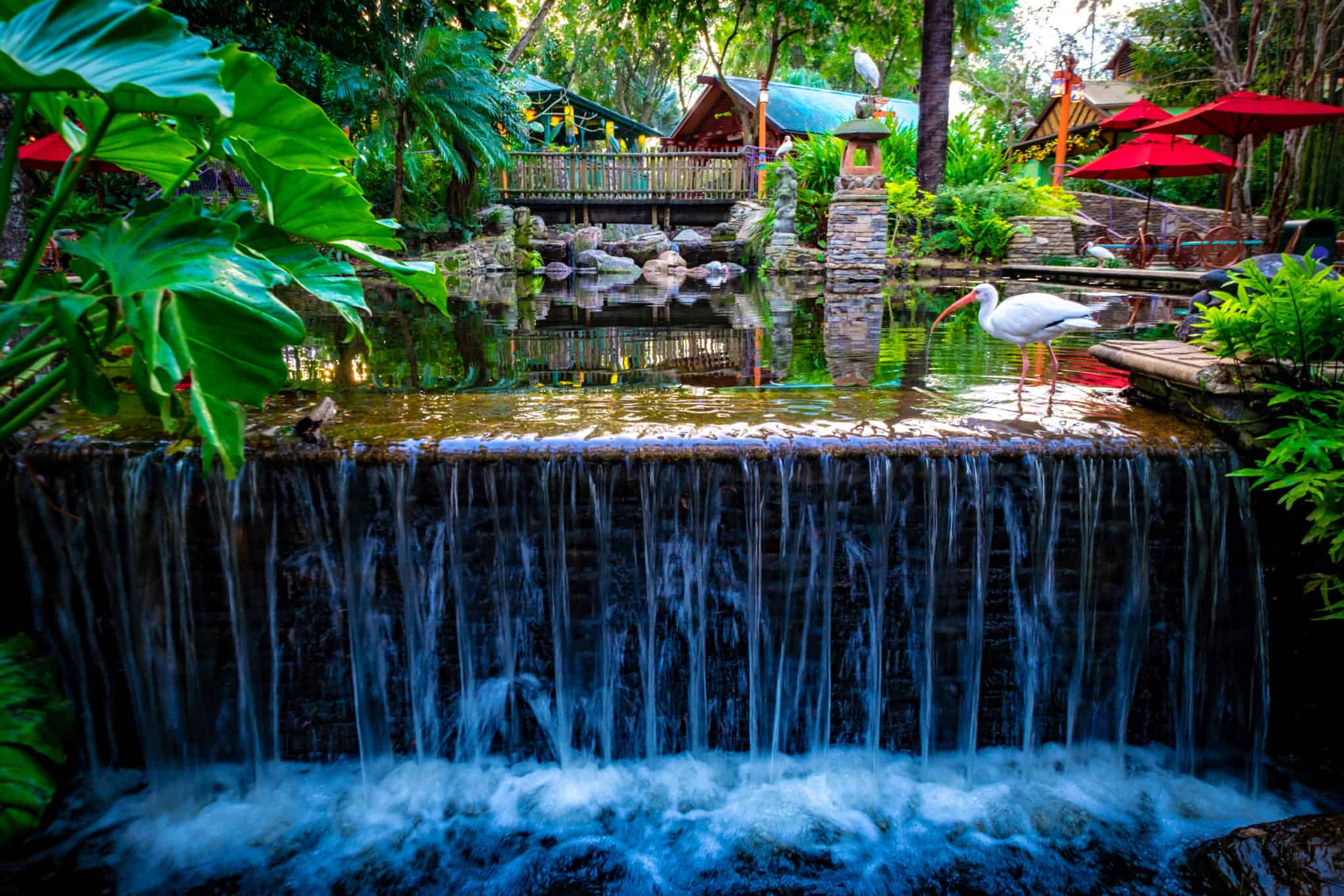 Scenic waterfall and lush greenery in Animal Kingdom's Discovery Island area