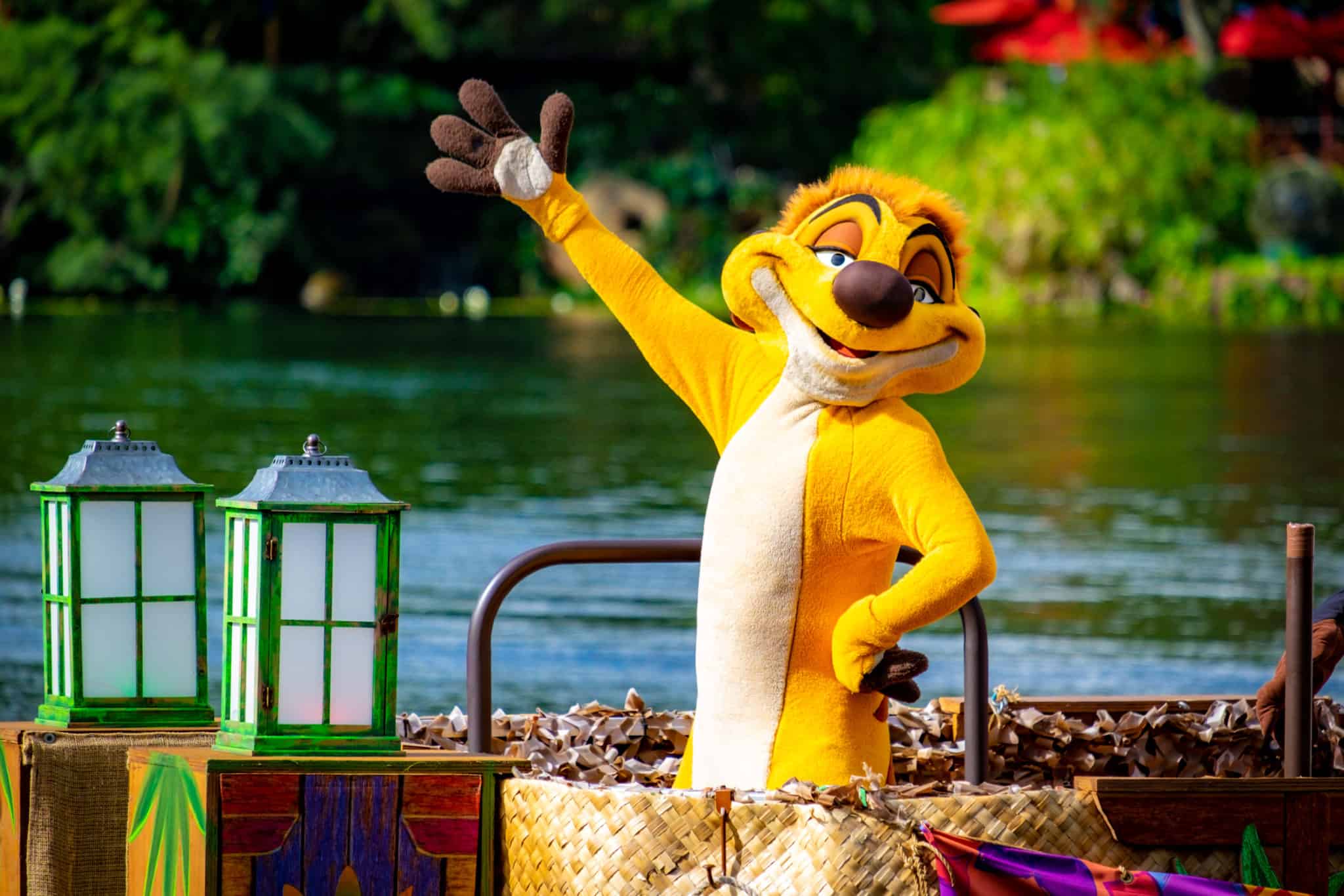 Timon character meet at Animal Kingdom