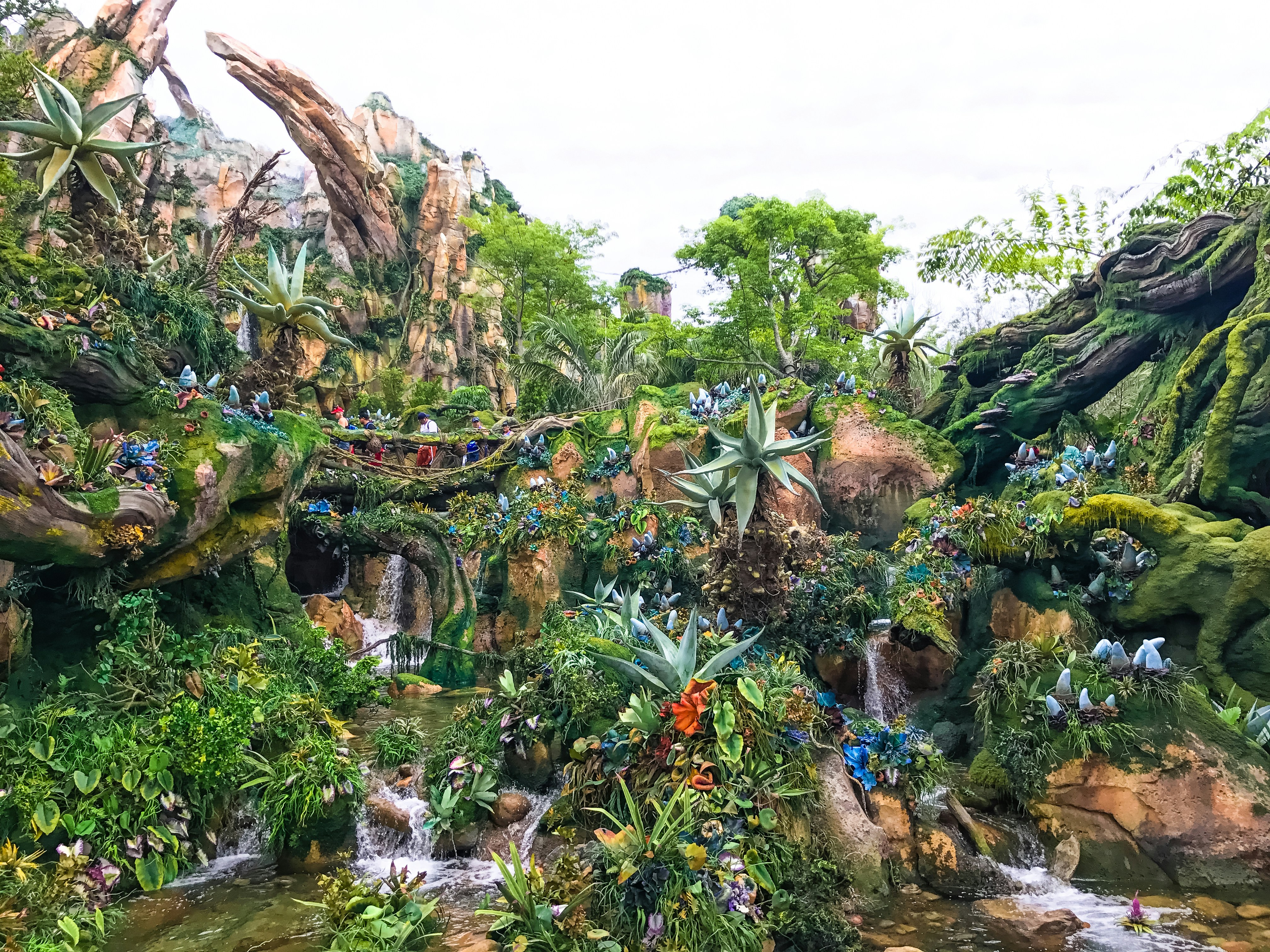 Avatar Flight of Passage