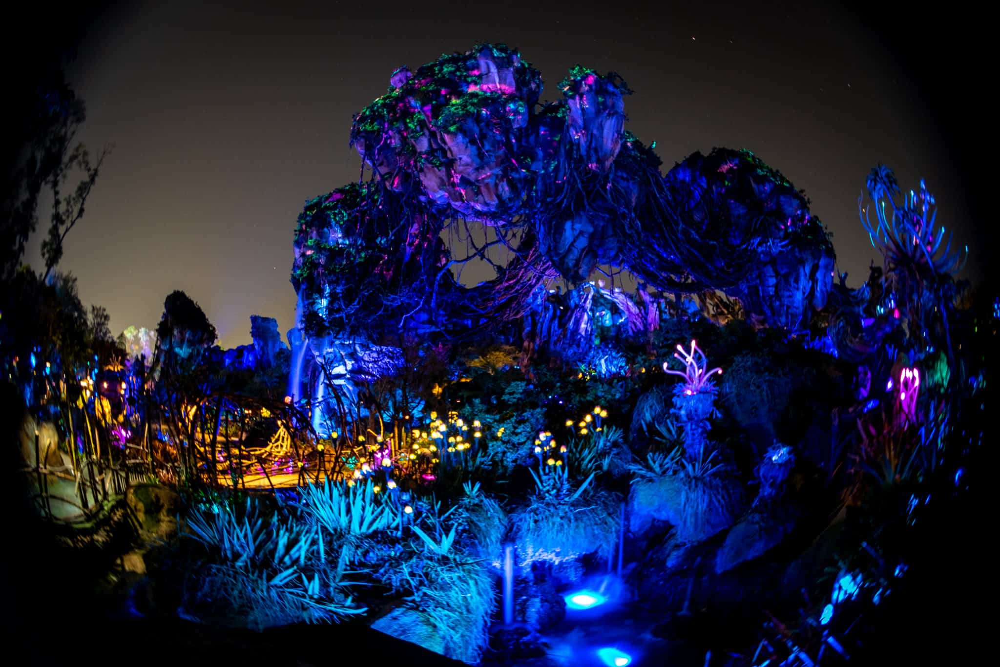 Pandora at night in Animal Kingdom